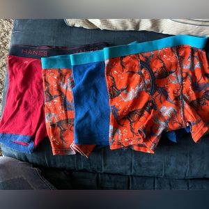 4 pairs Hanes little boy boxer briefs